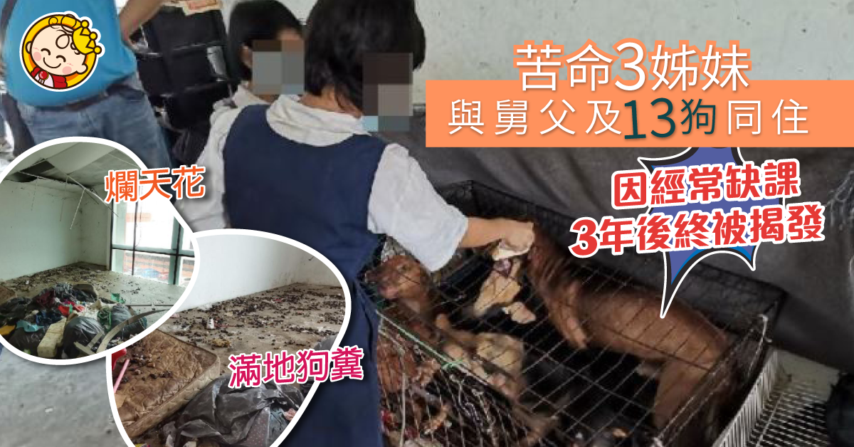 心酸！三姊妹無父母照顧　寄居舅父「家」與13犬同住　衛生環境極惡劣！