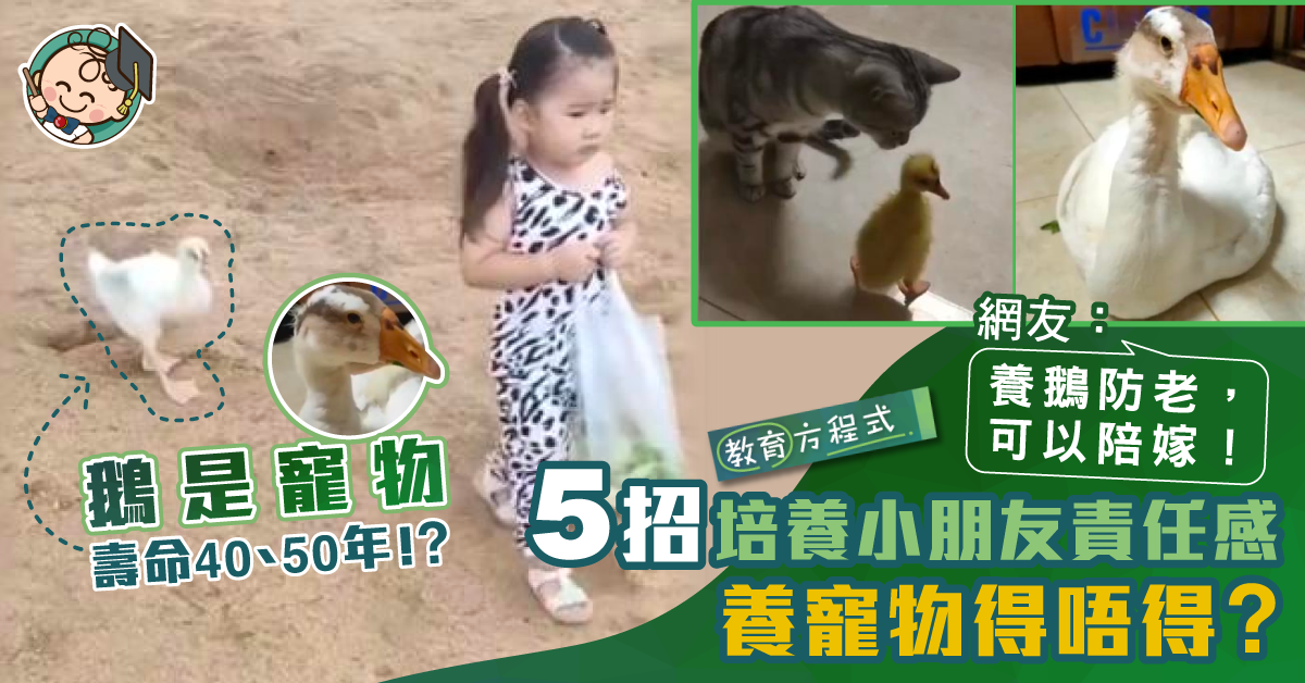 【港識教養】「鵝是寵物」？5招教你建立小朋友自信心及責任感