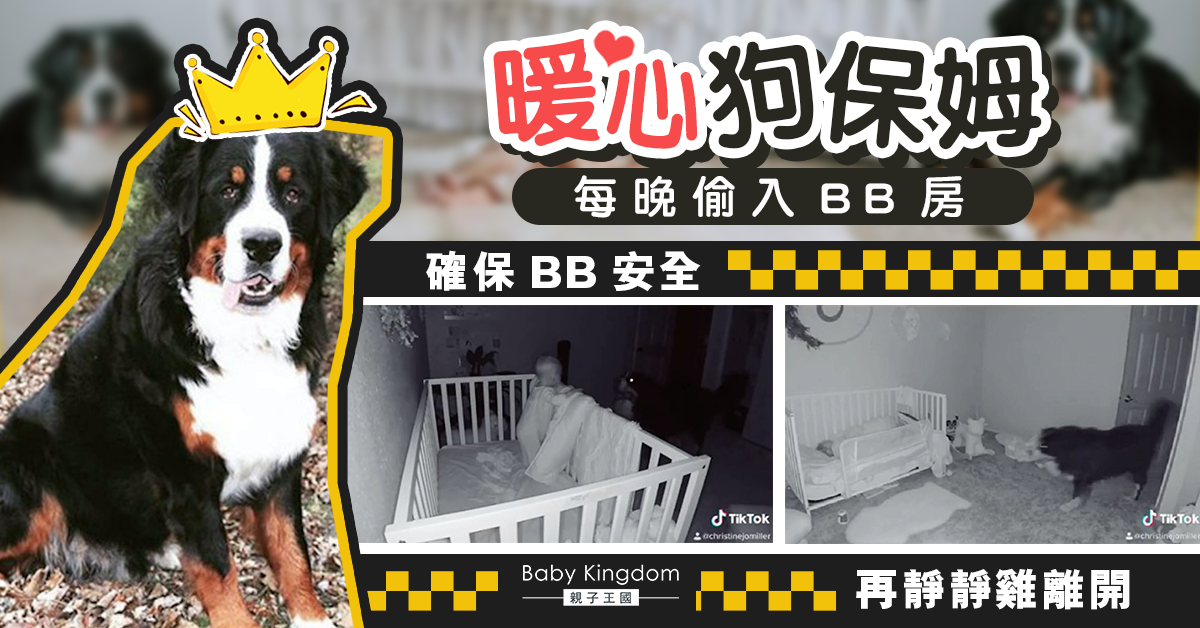 【暖心狗狗】每晚偷入BB房間為確保BB安全 再貼心靜悄悄離開