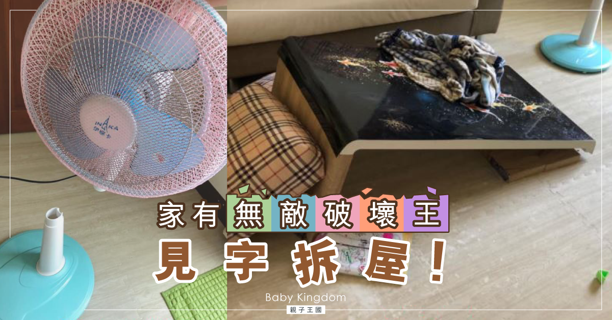 兒子好「拆」得！家電玩具無一倖免　幽默媽媽︰半獸人出租