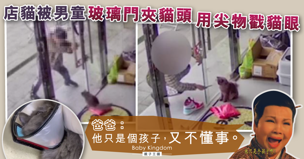 【港識教養】店貓被男童用門夾頭兼狂插眼 爸爸：他只是個孩子