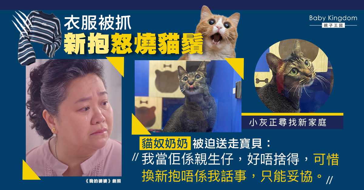 【婆媳關係】新抱虐貓 貓奴奶奶無奈送走寶貝：新抱無得換