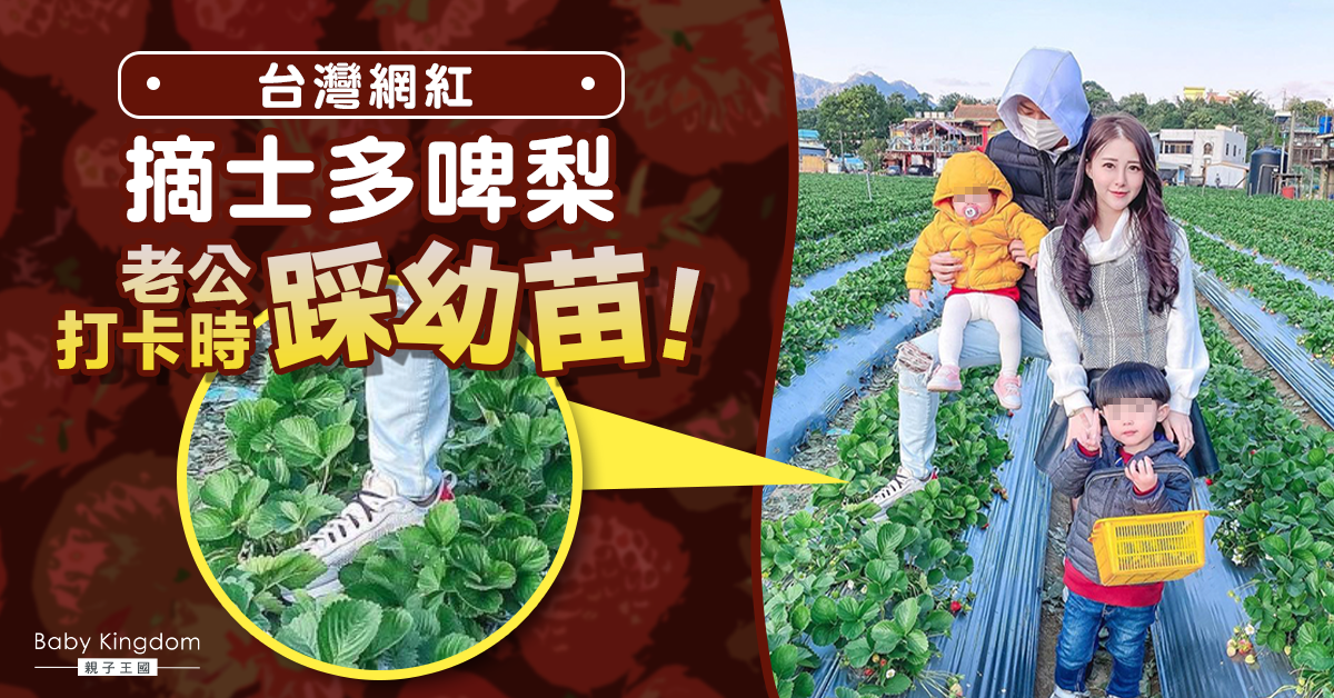 網紅媽媽摘草莓犯「2宗罪」　網民派嬲公審︰採不是踩！