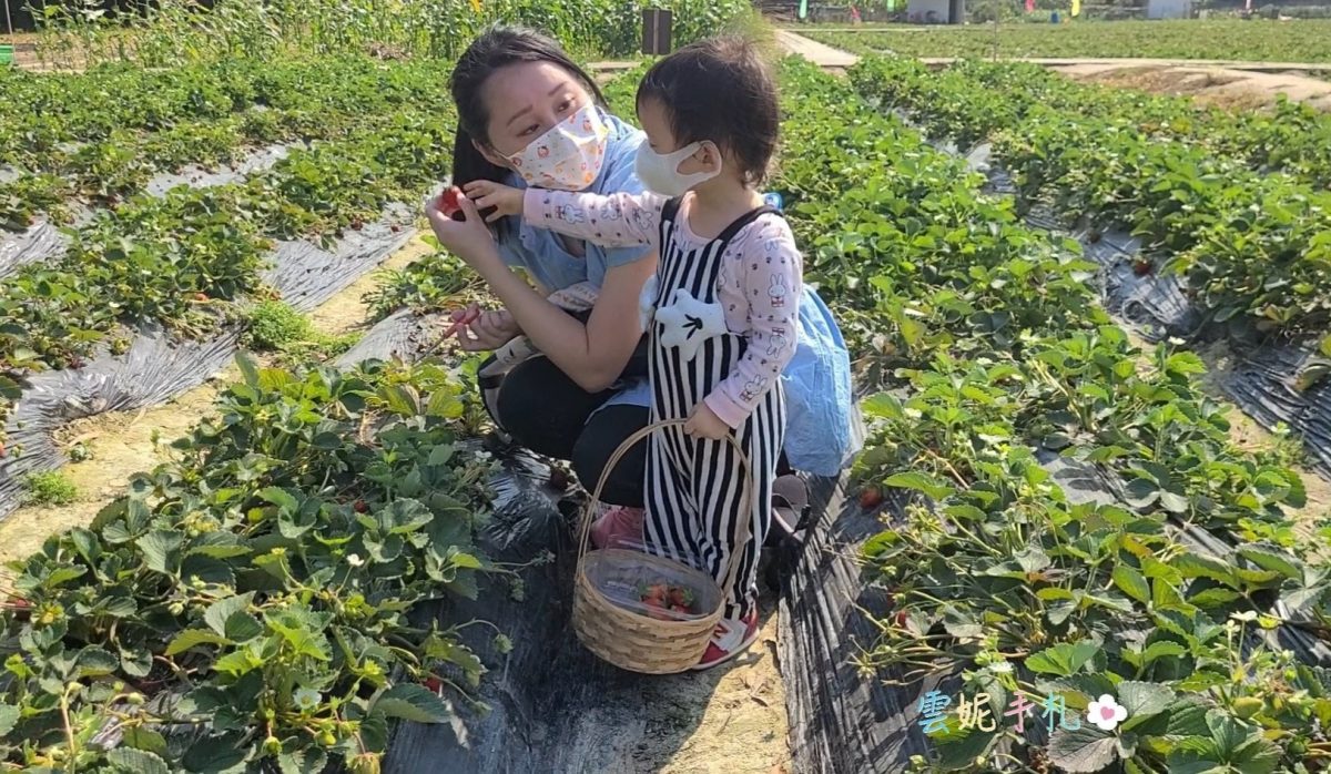 【親子好去處】假日好去處 抓緊士多啤梨的尾巴