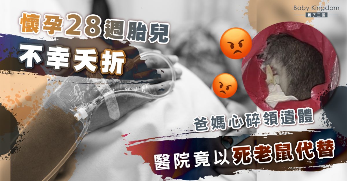 胎兒28週夭折 爸媽心痛領回遺體竟獲老鼠屍體