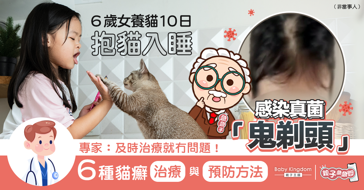 【親子急急問】女童抱貓入睡染真菌 專家教貓癬治療與預防方法