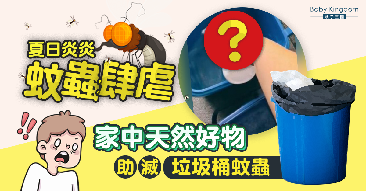 【滅蟲神器】夏天容易孳生蚊蟲？家居天然滅蚊好物 有效殺滅垃圾桶蚊蟲