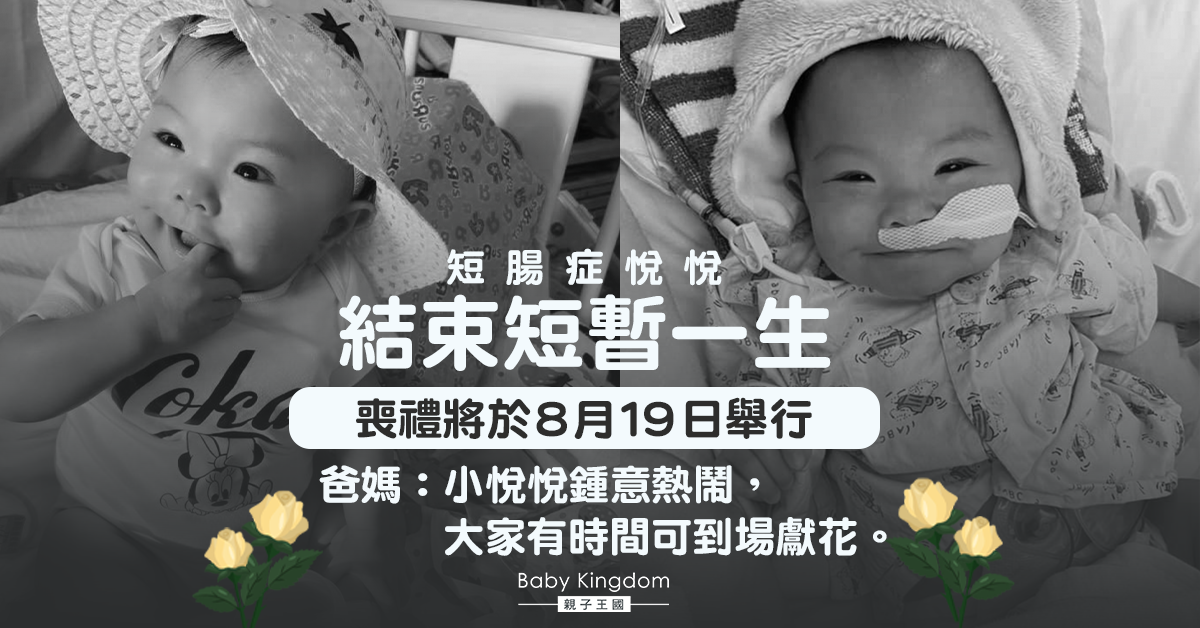 短腸症悅悅結束短暫一生 喪禮將於8月19日舉行