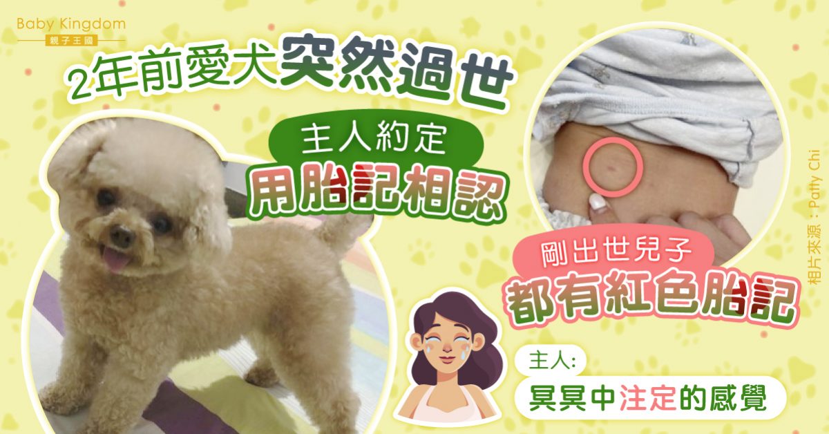 【冥冥中注定】2年前愛犬突然過世 主人約定用胎記相認 剛出世兒子同具紅色胎記