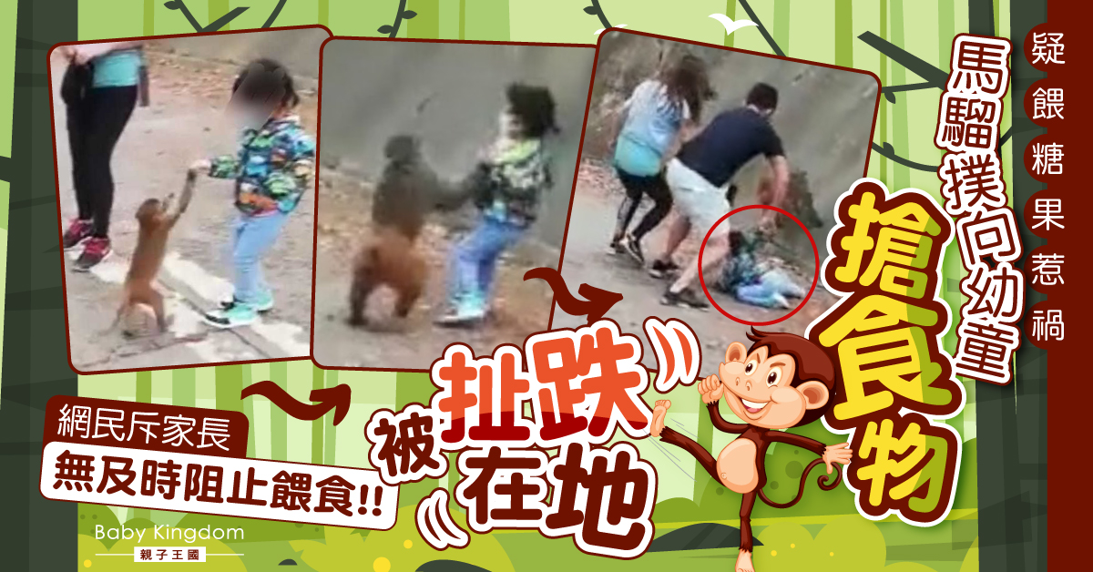 【港識教養】疑餵糖果惹禍!馬騮撲向幼童搶食物 家長遭網民狠批