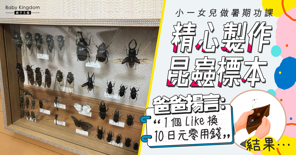 【港識教養】小一女兒精心製作昆蟲標本 日本爸爸分享求Like 結果…
