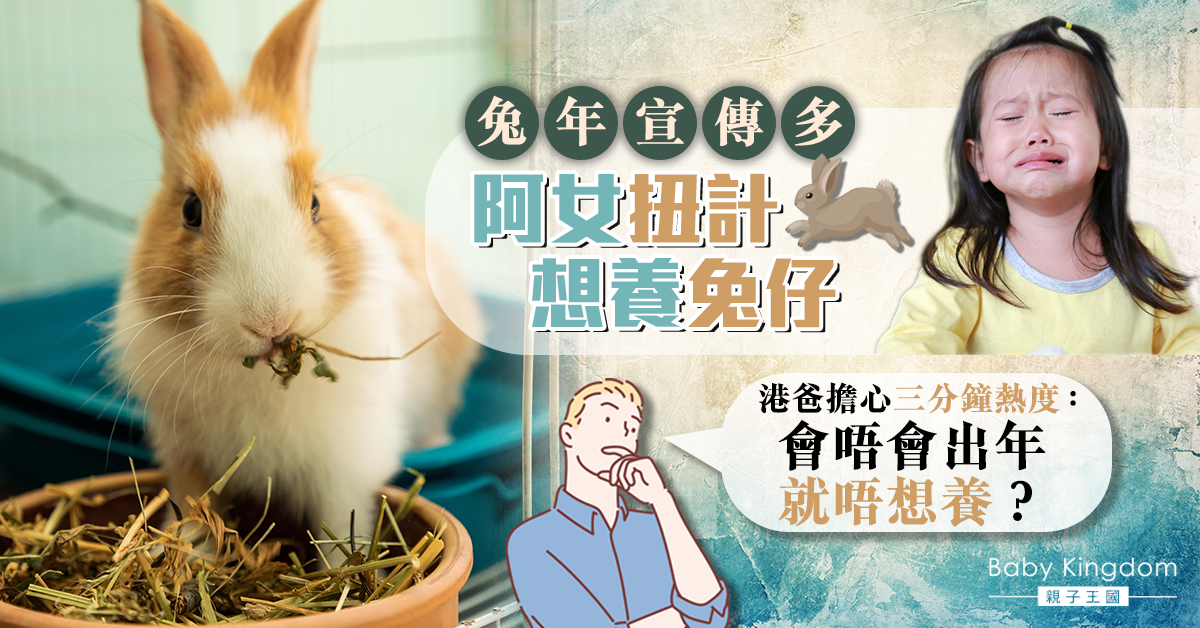 阿女扭計兔年想養兔仔 港爸憂三分鐘熱度：會唔會出年就唔想養？