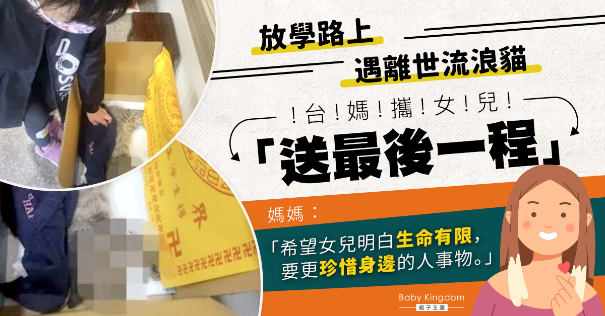 【生命教育】女童放學路上遇離世流浪貓 與媽媽合力送最後一程感動網民