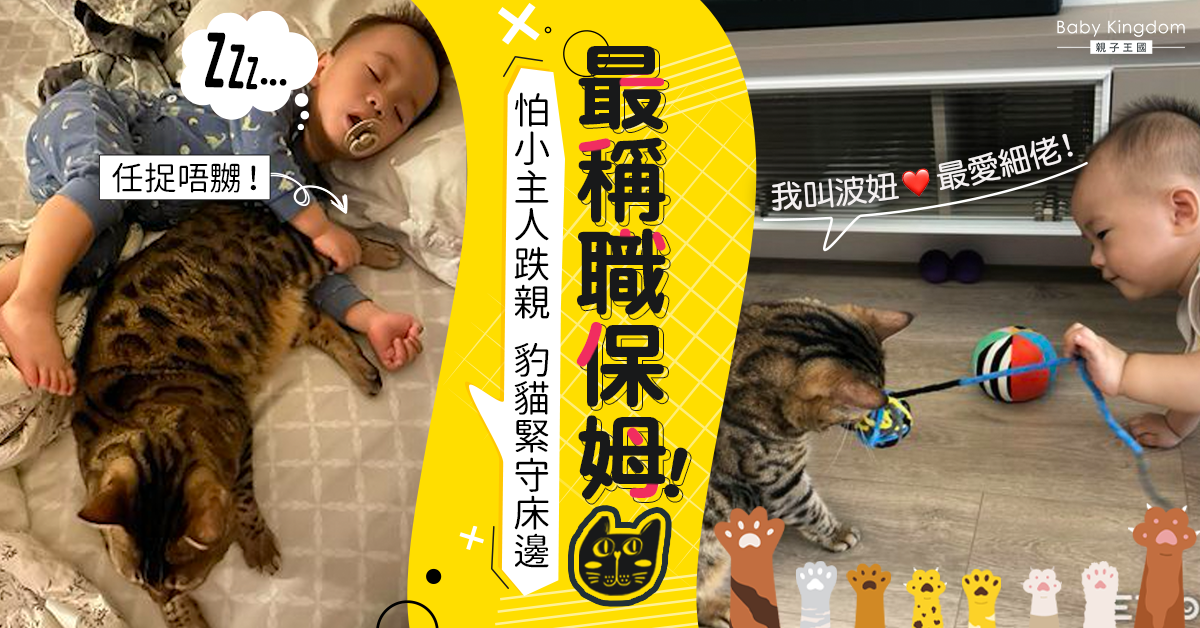 暖心豹貓從小守護家中兒子 網民超有感：貓是最好的寵物保姆！