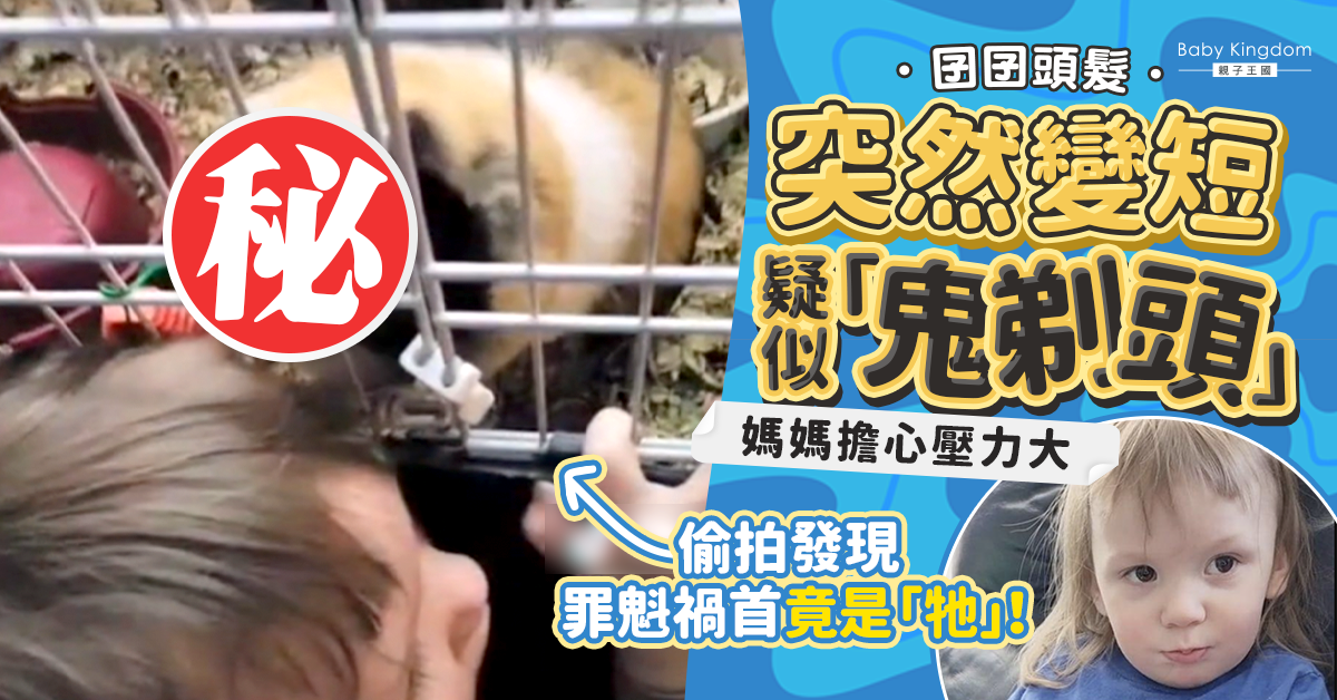 男童頭髮無故變短疑似「鬼剃頭」 媽媽偷拍發現罪魁禍首哭笑不得