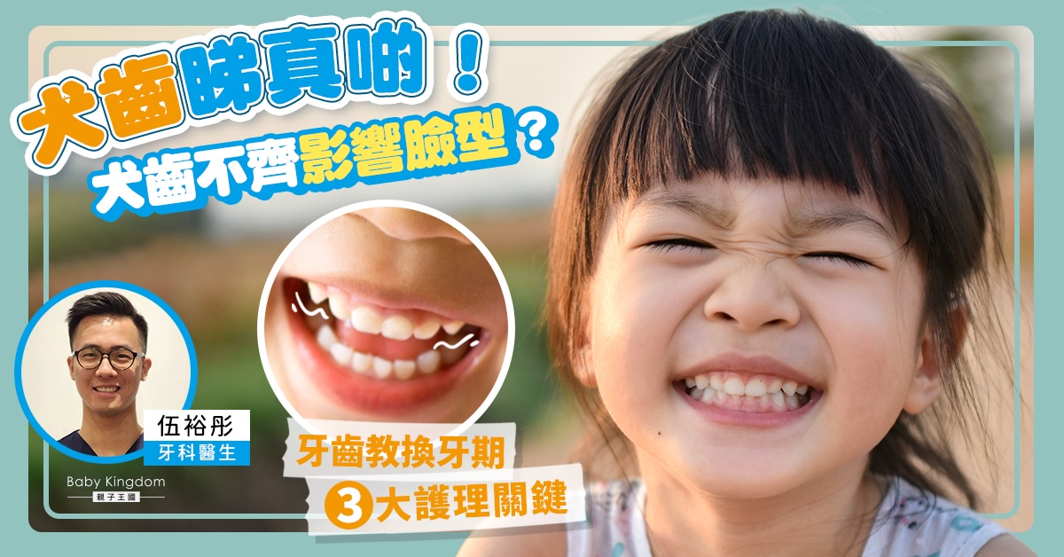 犬齒一定是尖的嗎？爸媽需要知道的牙齒知識