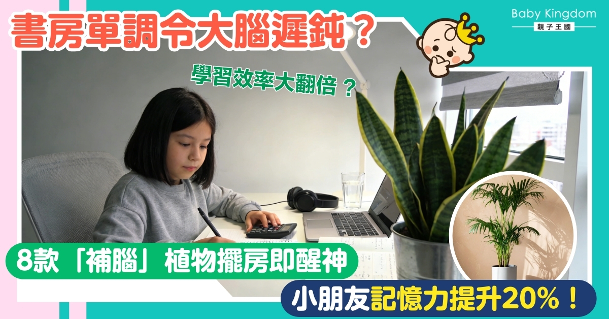 【親子熱話】補習補極都唔入腦？8款適合家養的「補腦綠植」助小朋友記憶力Level Up！
