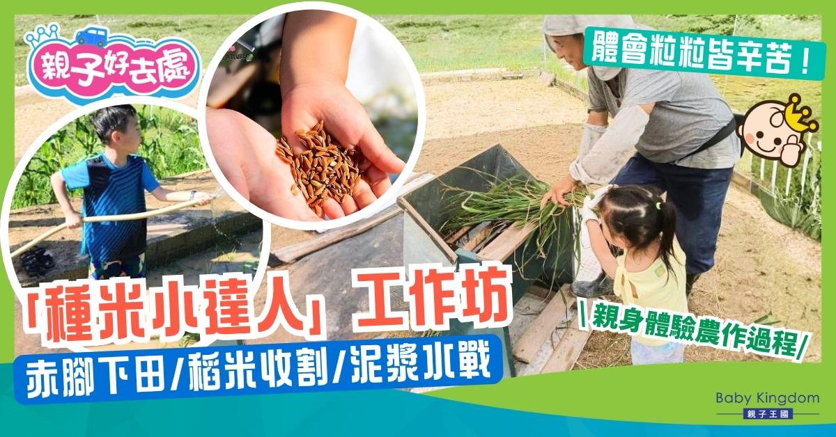 變身種米小達人！赤腳下田插秧收割＋泥漿水戰漂流　體驗一日農夫日常